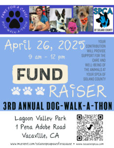 3rd annual dog walk